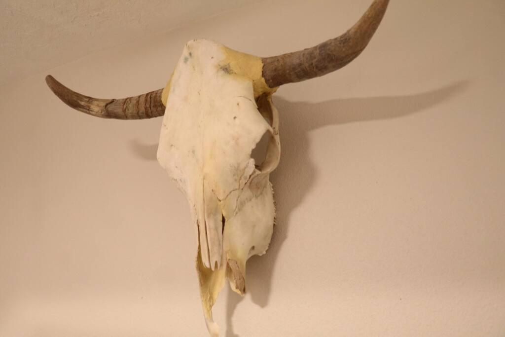 Cowboy Den-Hot Tub-Game Room-Pet Friendly-No Pet Fees! Albuquerque Dış mekan fotoğraf